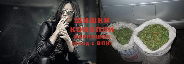 гидра Арсеньев