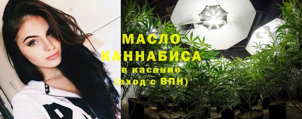 гидра Арсеньев