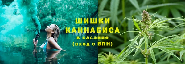 гидра Арсеньев