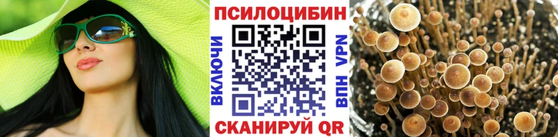 Галлюциногенные грибы GOLDEN TEACHER  Балей 